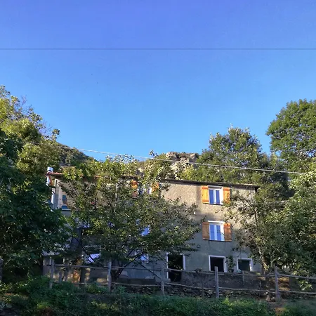 Berzuaia Bed and breakfast *