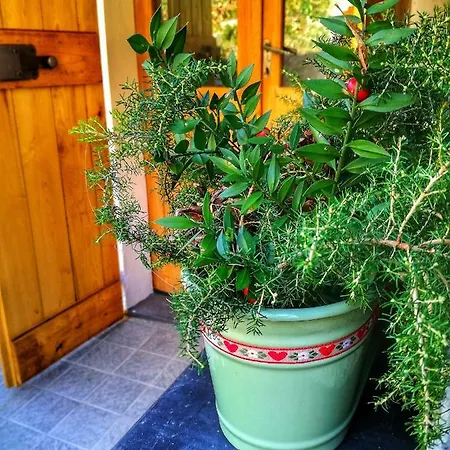 Berzuaia Bed & Breakfast Varazze